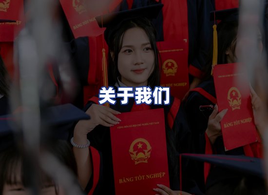 专业团队